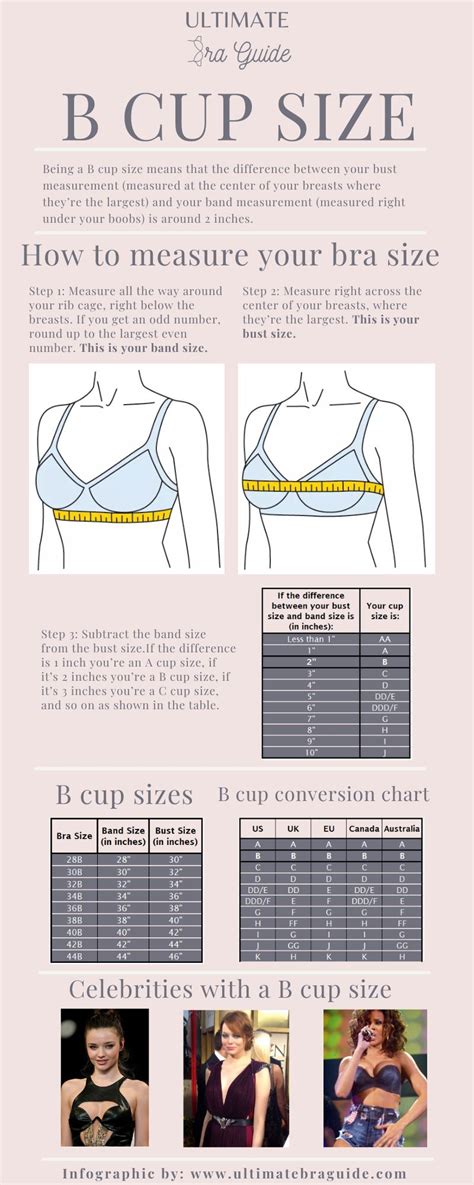 b cup size|b cup size examples.